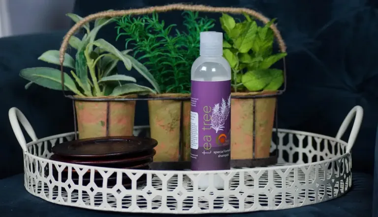 The-Best-Dandruff-Shampoo-for-Color-Treated-Hair.jpg