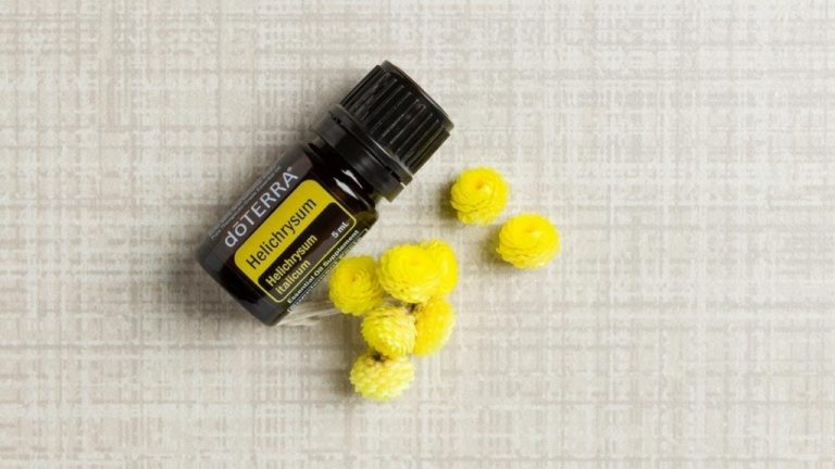 Best Helichrysum Essential Oil Brand