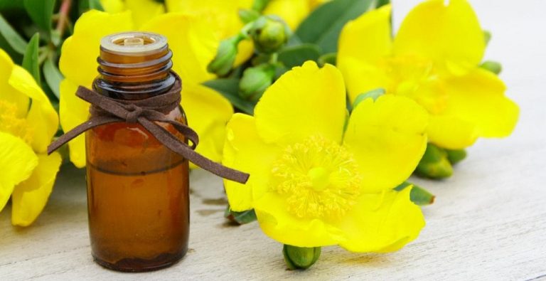 Best Evening Primrose Oil Brands