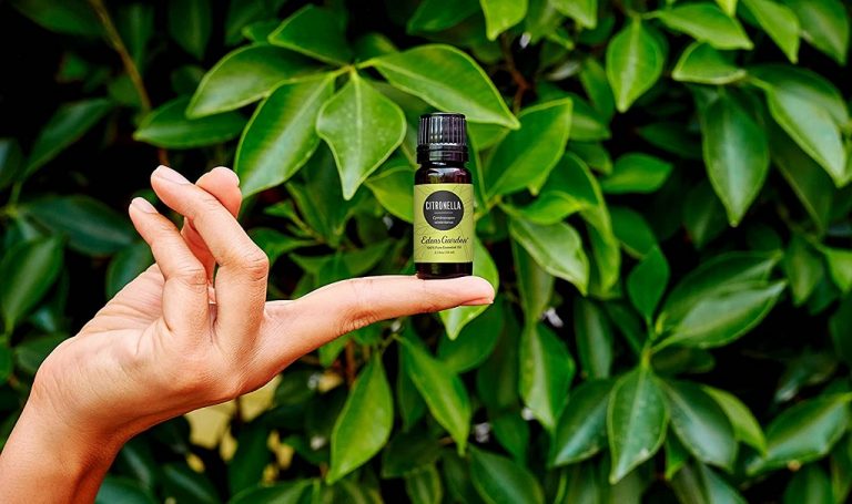 Best Citronella Oils