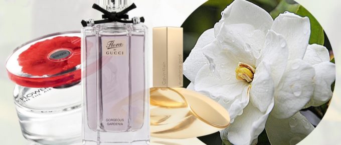 Best Gardenia Perfumes