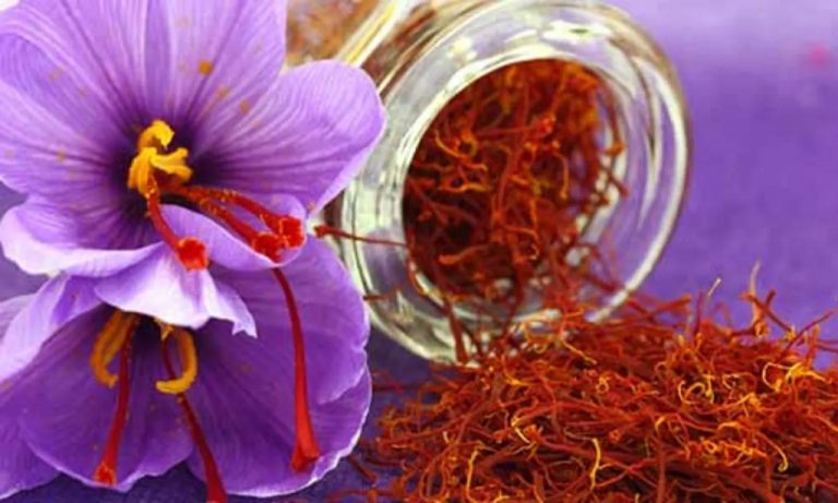 Best Saffron Brands for Your Skin & Hair