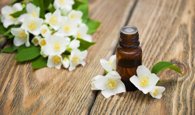 Best Jasmine Essential Oils